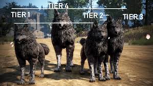 Pet Sizes Wolf Lynx Exchanging Pet Appearance Change