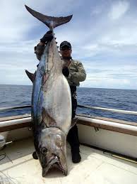 Jason S Big Dog Tooth Tuna Via Sport Fishing Tanzania Saltwater Fishing Fish Sea Fishing