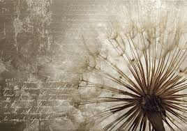 Steinoptik tapeten ⭐ 3d steintapeten ⭐ vliestapete backstein, steinwand, mauer, ziegel & klinker ⭐ musterversand » günstig kaufen bei tapetenmax®. Tapeten Zubehor Vlies Fototapete Tapete Wandbild 15f0230320 Pusteblume Natur Blumen Lan Wald Anfscanberra Org Au