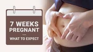 3 weeks pregnant belly you may be excited to start noticing something different about your appearance, but at 3 weeks pregnant, a belly isn't really a thing. 7 Weeks Pregnant Symptoms Baby Size Body Changes More