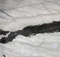 Black Swan Marble - Marble - StoneContact.com