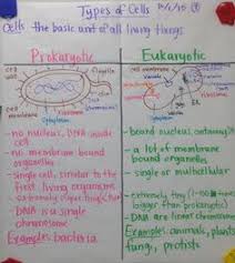 30 Best Biology Glad Charts Images Biology Teaching