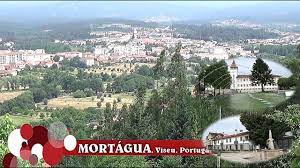 The present mayor is josé júlio norte, elected in 2013 by the social democratic party. Mortagua Viseu Youtube