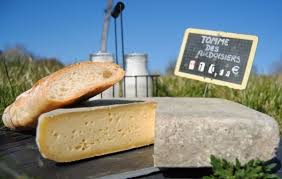 Ferme De La Prade Seances Tarifs Et Reservation De La Visite Guidee Messortiesculture