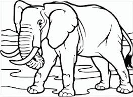 Sketsa cara gambar gajah gambar sketsa gajah nampak depan ternyata bisa di buat dengan cara yang cukup simple buat 3 lingkaran untuk kepala di bagian tengah dan telinga di bagian kiri kanannya. Kumpulan Sketsa Gambar Hewan Untuk Mewarnai Anak Dizeen Gambar Hewan Gajah Afrika Hewan