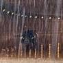 Severe Weather and Heat-Related Fatalities Impact Baden-Württemberg Amid Thunderstorm Warnings