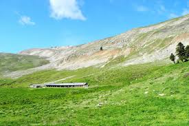 Check spelling or type a new query. Kleinos Triggia Diadromh Kleino Thessaly Greece Gps Track