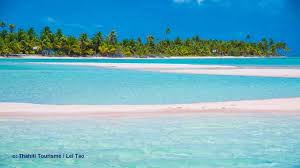 Maybe you would like to learn more about one of these? Tahiti Reisen Auf Die Inseln Im Sudseeparadies Sind Erlaubt Das Tauchen Magazin