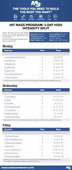 Pin On Muscle Building Workouts