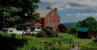 Image result for Springfield Irving Springfield VT