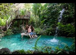 Backyard Pond Swimming Pond Pool Landscaping Backyard Pool