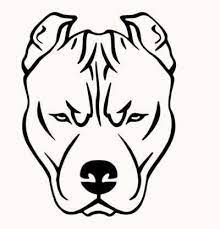 Aprende Como Dibujar Un Perro Pitbull Paso A Paso 8 Como Dibujar Un Perro Tatuajes De Perros Pitbull Perros Para Dibujar Faciles Tiene 2 meses y muy poco y es una bebe, tipico caracter del pastor aleman, muy juguetona y completamente sana. dibujar un perro pitbull paso a paso