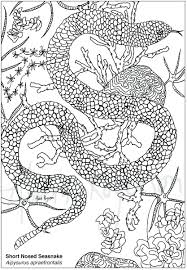 970x775 terrific endangered species coloring pages large size of wild. Australian Animals Coloring Pages Behindthegown Com