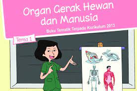 Kunci jawaban tema 1 kelas 5 sd/mi halaman 42 43 44 46 49, pembelajaran 5, subtema 1 organ gerak hewan, tema 1 organ gerak hewan dan manusia. Materi Dan Kunci Jawaban Tema 1 Kelas 5 Gawe Kami