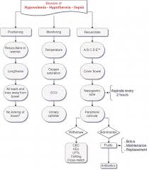 Management Of Gastroschisis Intechopen