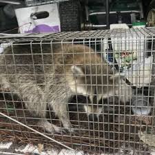 WALTER SALAZAR PEST CONTROL - Updated April 2026 - 11 Photos ...