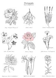 That means flowers may be found decorating not just comfortable summer dresses, but almost every other item of clothing as well. Say It With Flowers Print Birth Flower Tattoos Wild Rose Tattoo Flower Drawing