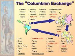 One way it helped africa was that it helped increase their population and it affected them by taking. The Columbian Exchange The Flow Of Goods Between The New World Europe And Africa Brought European Manufactured Goods And Alcohol To Africa And The Americas Ppt Download