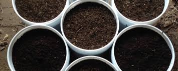 Maybe you would like to learn more about one of these? Composting 101 National Geographic Education Blog