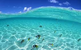 If you're in search of the best beach desktop wallpaper, you've come to the right place. 62 Free Beach Wallpaper For Computer On Wallpapersafari