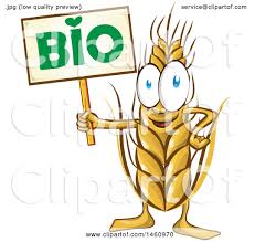 Clipart Of A Wheat Character Holding A Bio Sign Royalty Free Vector Illustration By Domenico Condello 1460970 Watch online and download hey duggee season 1 cartoon in high quality. clipart of a wheat character holding a