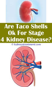 Kidney Disease Website Kidney Disease Diet Kidney Disease Symptoms Polycystic Kidney Disease
