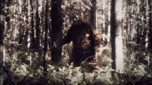 Book Review: 'The Secret History of Bigfoot' by John O'Connor | KQED