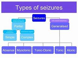 Mcaa Cannabis Treating Epilepsy The Mcaa