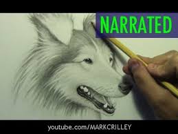 From identifying a husky as a distinguished vocalist to a pug as a functioning mess. How To Draw A Dog Narrated Step By Step Youtube