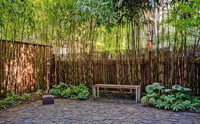 'bamboo is an ideal plant for a zen garden, but it suckers and runs and can ruin paving. This 12 Million Brooklyn Mansion Could Set A Real Estate Record Bamboo Garden Bamboo Landscape Backyard Garden