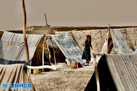 La pace domina, la guerra è finita. Unhcr Imminente Una Grave Crisi Umanitaria In Afghanistan Greenreport Economia Ecologica E Sviluppo Sostenibile