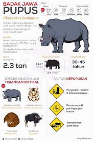 But you can go to the section of english flashcards and translate them on malay. Badak Jawa Didapati Universiti Pendidikan Sultan Idris Facebook