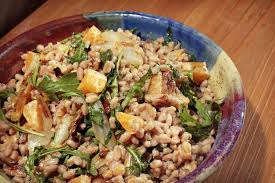 Image result for Faroa salutaris