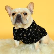 Browse through collections of adorable fat dog stuffed animals on alibaba.com to find the ideal gift customized kawaii cute dog soft round animal toys lovely white fat dog stuffed & plush toy animal. Factory Direct Supply Fadou Fat Dog Keji Clothes Bronze Crown Diamondtshirt Two Feet Clothes Pet Dog Dog Clothing Buy New Dog Sweaterw Cat Costume Dog Pet Apparel Dogs Cut Cat Dog Accesspriesjackets