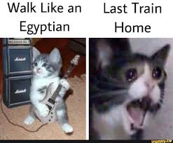 Walk Like An Last Train Ifunny Jojo Anime Jojo Bizzare Adventure Jojo Bizarre