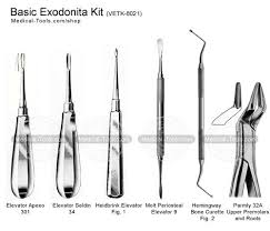 Basic Exodontia Kit Veterinary Instruments Medical Tools Shop Dental Tools Dental Assistant Study Exodontia
