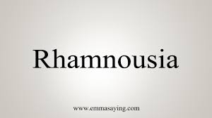 Nemesis definition, something that a person cannot conquer, achieve, etc.: How To Say Rhamnousia Youtube