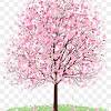 Contoh lukisan bunga sakura simple. 1