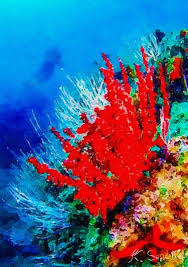 This color is available in both a quart and a pot size. Coral Reef Painting Paintings For Sale Saatchi Art