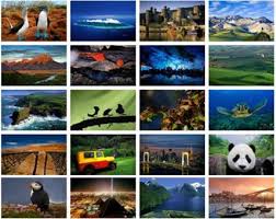 Download everything for windows & read reviews. Download Windows 7 Bing Themes And Wallpapers