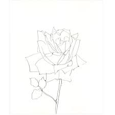 Pin On Artist Ellsworth Kelly Plant Drawings