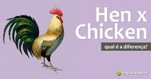 Pode ser jogado em qualquer lado inclusivé no chão, pois basta ter duas linhas horizontais e duas verticais, fazendo assim uma matriz de três linhas e três colunas. Chicken X Hen Qual A Diferenca English Experts