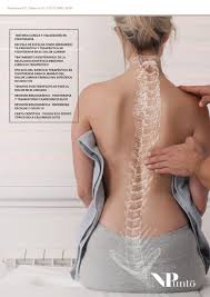 Eficacia Del Ejercicio Terapeutico En Fisioterapia Para El Manejo Del Dolor Lumbar Cronico No Especifico En Adultos Npunto