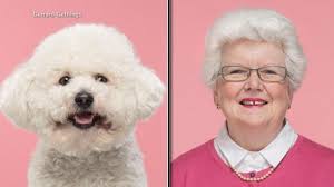 It's actually scientifically proven that dogs and their owners look similar. Dogs Have Personalities Based On How Their Owners Treat Them Research Finds Video Abc News