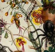 The nebula of #sciart and its explorer-artists