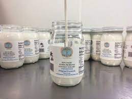 Super Probiotic Coconut Kefir Yogurt New Earth Superfoods