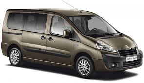 Image result for Brown Squirrel 2014 Peugeot