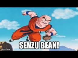 By far one of the best. Tfs Abridged Krillin Owned Count 1 30 Youtube