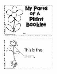 Parts Of A Plant Worksheet Kindergarten Science Kindergarten Worksheets Science Worksheets