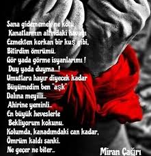 Bahar Adli Kullanicinin Bahar Panosundaki Pin Guzel Soz Ask Ask Sozleri